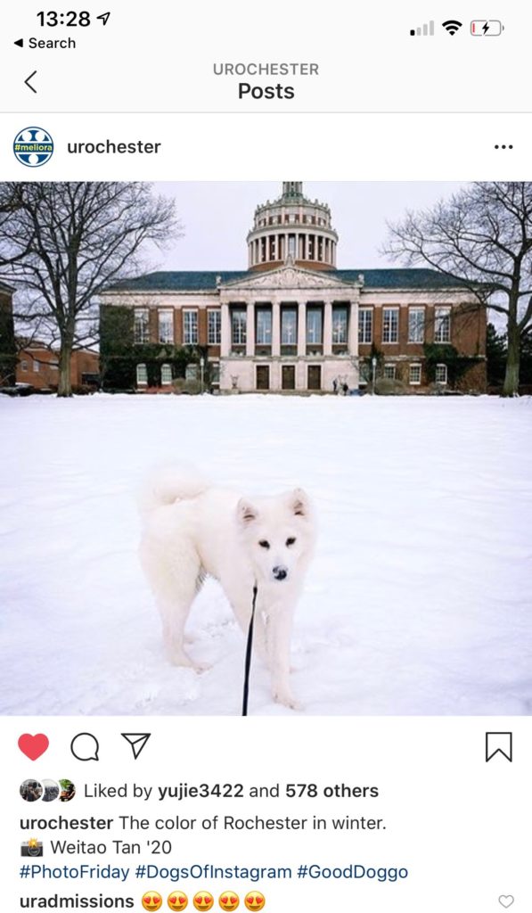 Weitao's Puppy